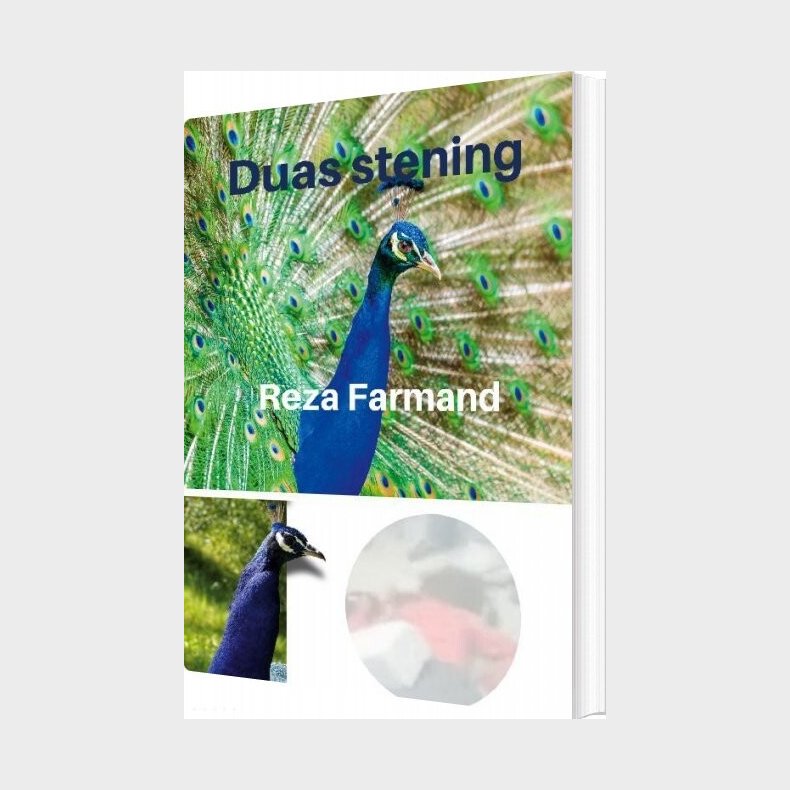 Duas Stening - Reza Farmand - Bog