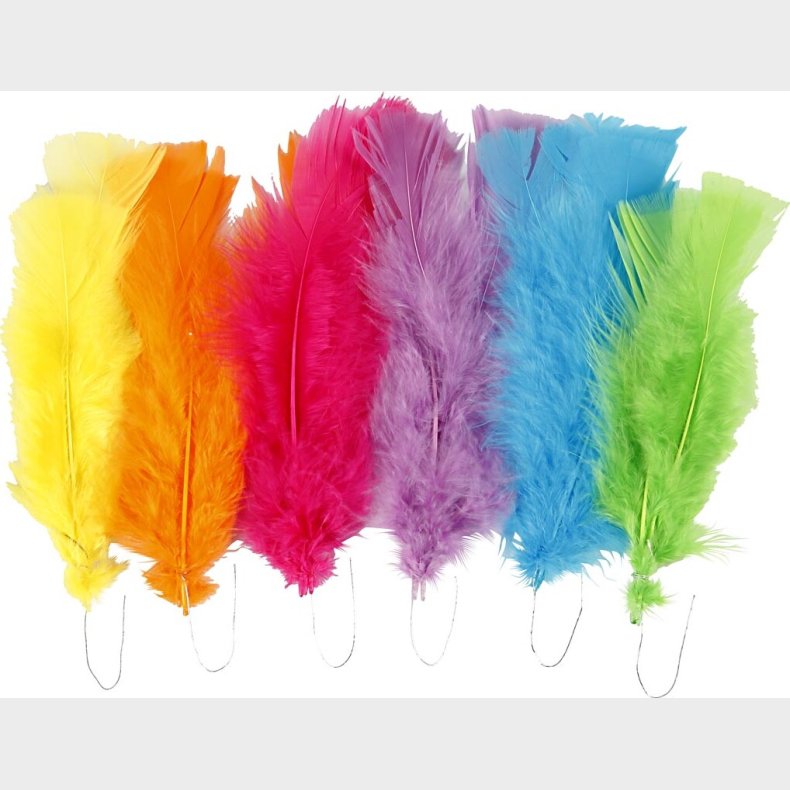 Dun - L 11-17 Cm - Forskellige Farver - 18 Bundt