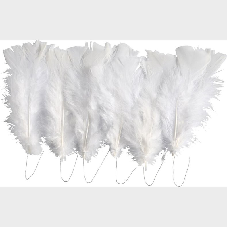 Dun - L 11-17 Cm - Hvid - 18 Bundt