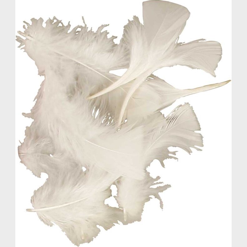 Dun - L 7-8 Cm - Hvid - 50 G