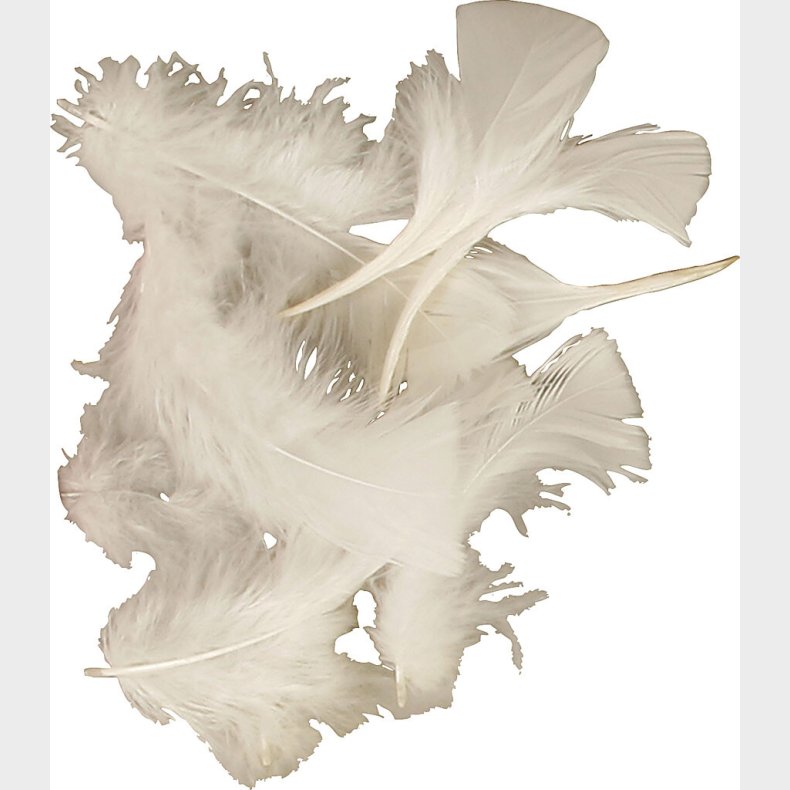 Dun - Str. 7-8 Cm - Hvid - 500 G