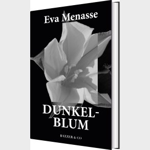 Dunkelblum - Eva Menasse - Bog