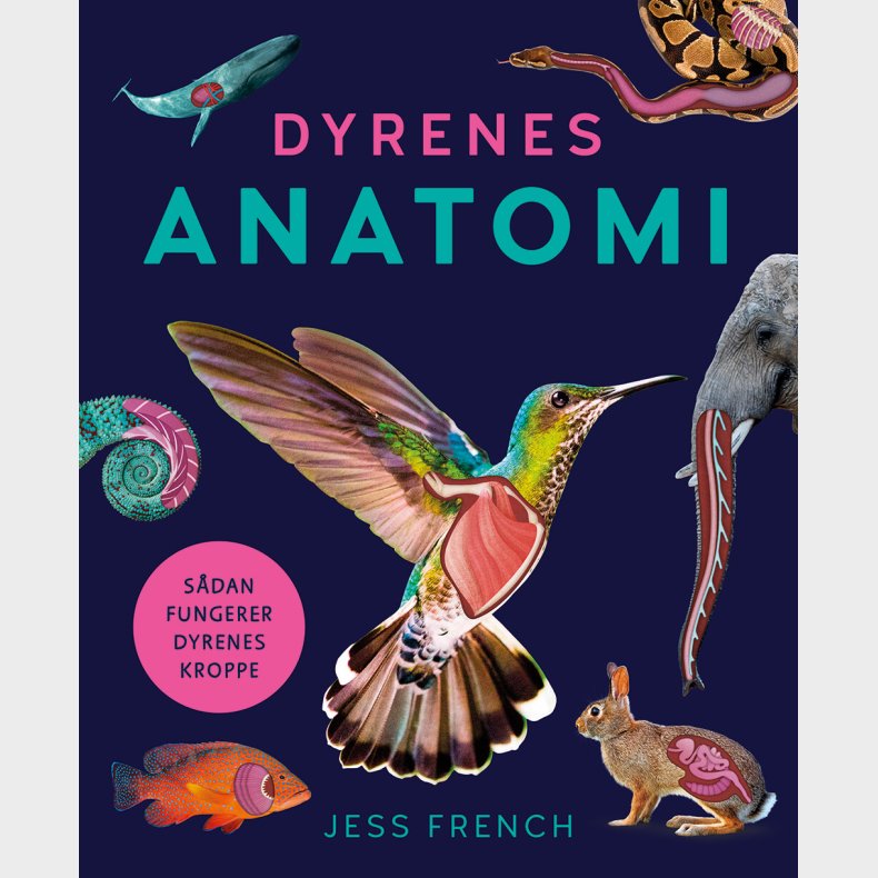 Dyrenes Anatomi - Jess French - Bog