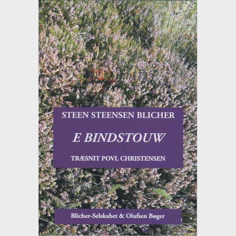 E Bindstouw - Steen Steensen Blicher - Bog