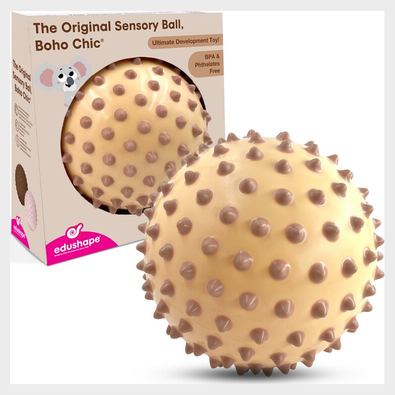 Edushape - Sansebold - 18 Cm - Cremefarvet