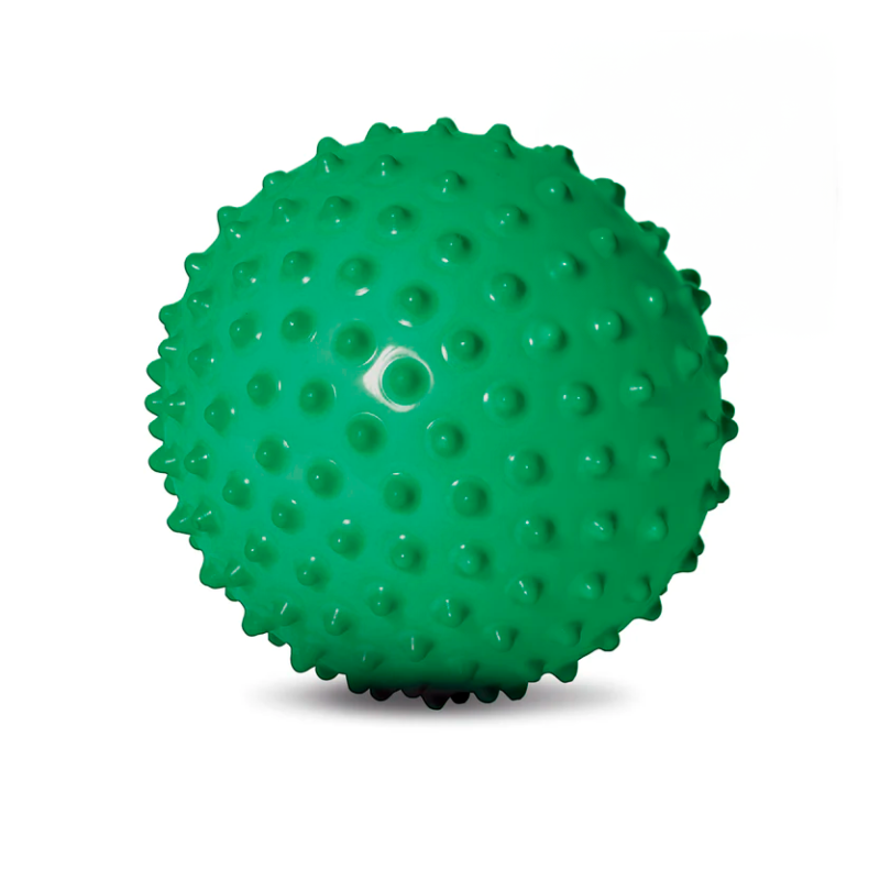 edushape | Sansebold u/luft - Grn, 18 cm