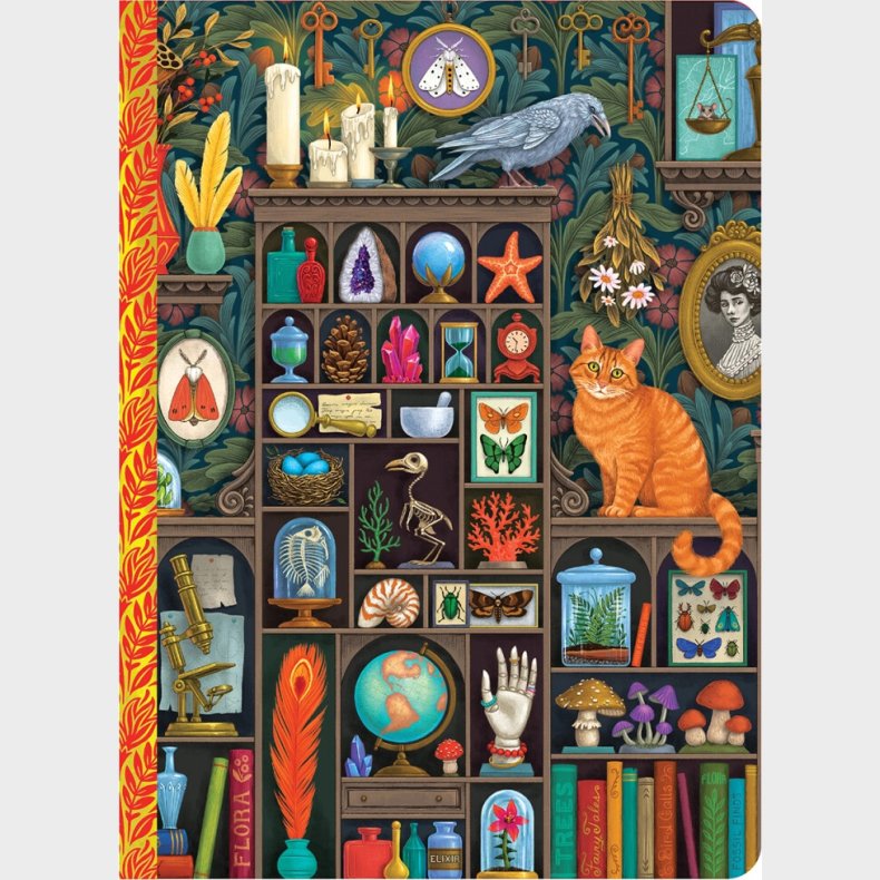 Eeboo - Notesbog - Alchemist's Cabinet