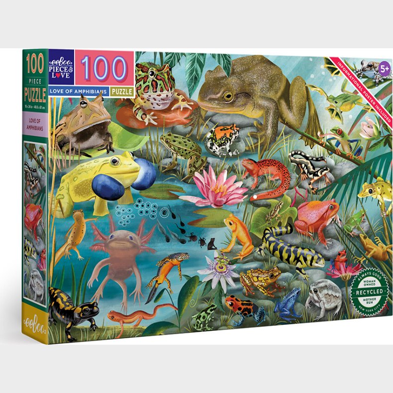 Eeboo - Puslespil 100 Brikker - Amfibier