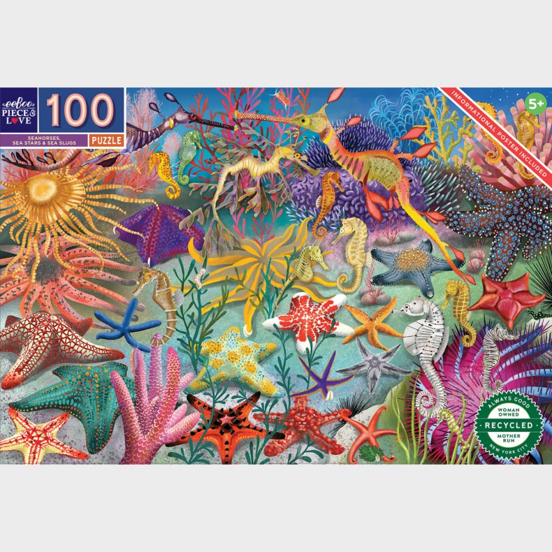 Eeboo - Puslespil 100 Brikker - Sheste Og Sstjerner