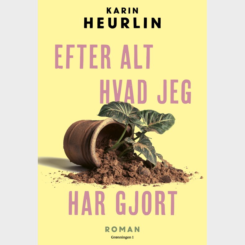 Efter Alt Hvad Jeg Har Gjort - Karin Heurlin - Bog