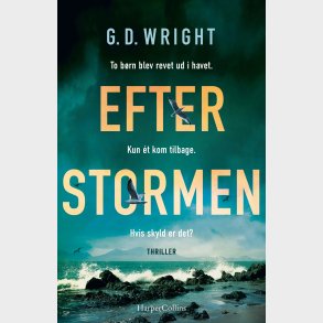 Efter Stormen - G. D. Wright - Bog