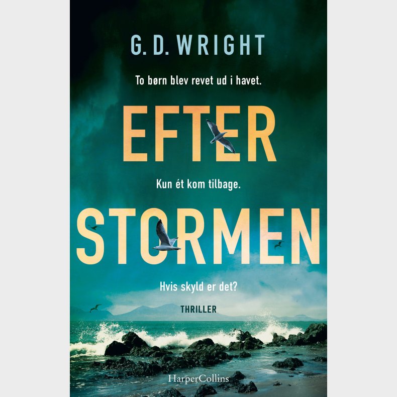Efter Stormen - G. D. Wright - Bog