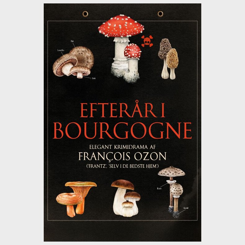 Efterr I Bourgogne - DVD - Film