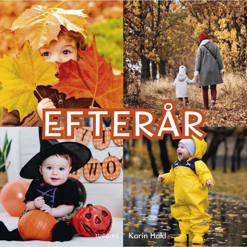 Efter�r - Karin Hald - Bog