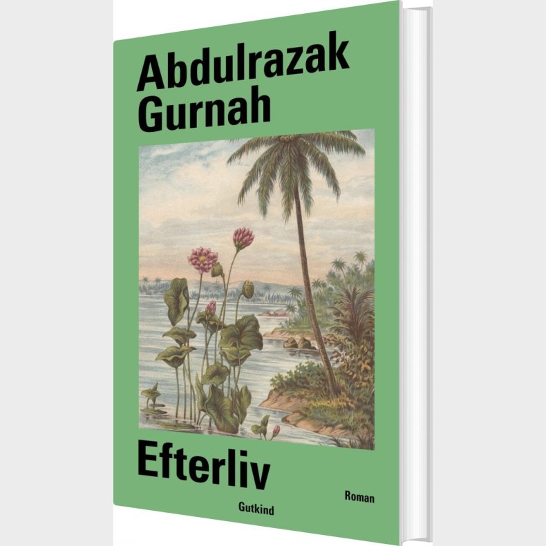 Efterliv - Abdulrazak Gurnah - Bog