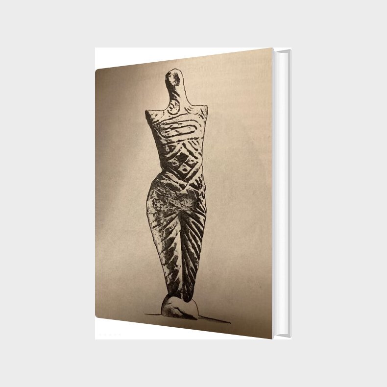 Elegier Over Jorden - Sofie Isager Ahl - Bog