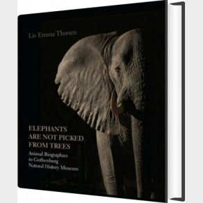 Elephants Are Not Picked From Trees - Liv Emma Thorsen - English Book