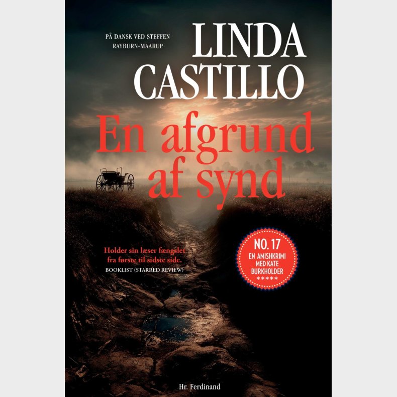 En Afgrund Af Synd - Linda Castillo - Bog