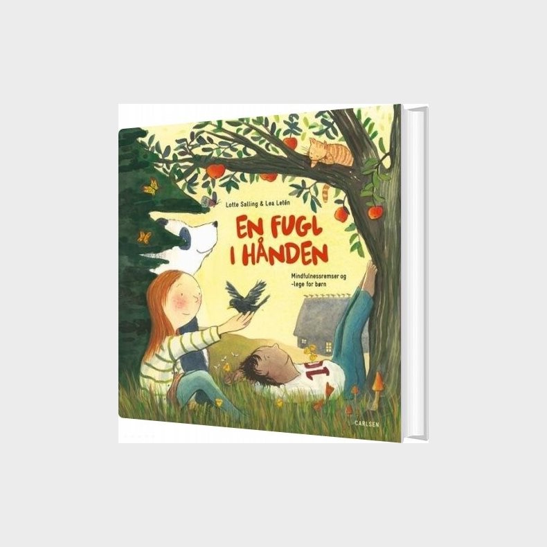En Fugl I H�nden - Lotte Salling - Bog