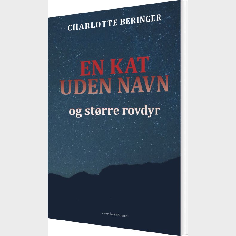 En Kat Uden Navn - Charlotte Beringer - Bog