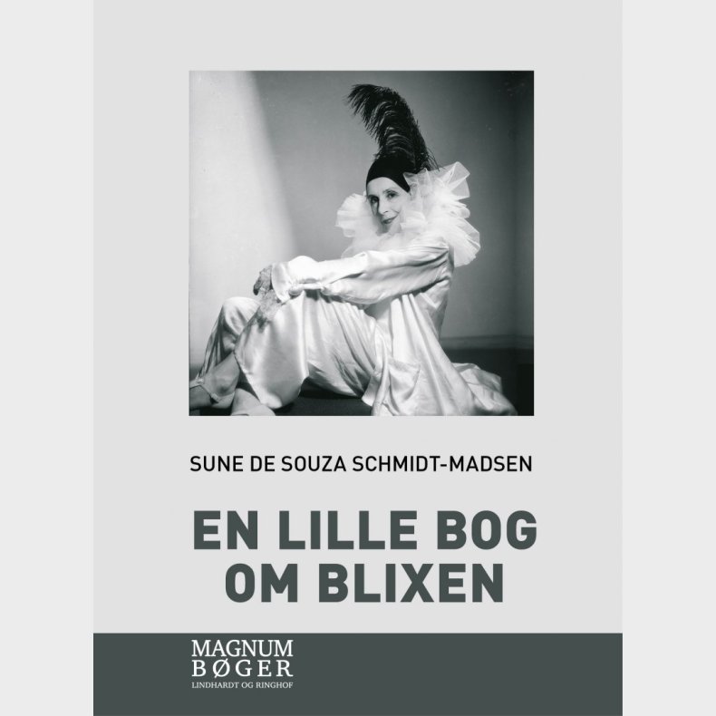 En Lille Bog Om Blixen (storskrift) - Sune De Souza Schmidt-madsen - Bog