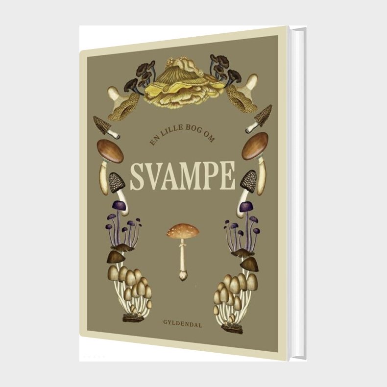 En Lille Bog Om Svampe - Bog