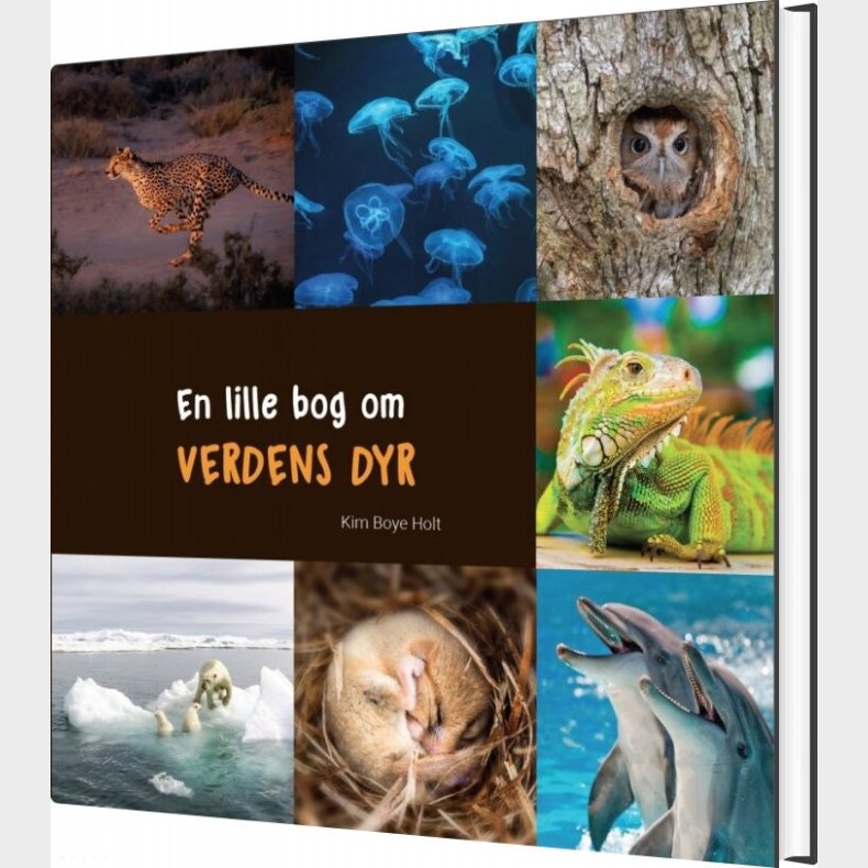 En Lille Bog Om Verdens Dyr - Kim Boye Holt - Bog
