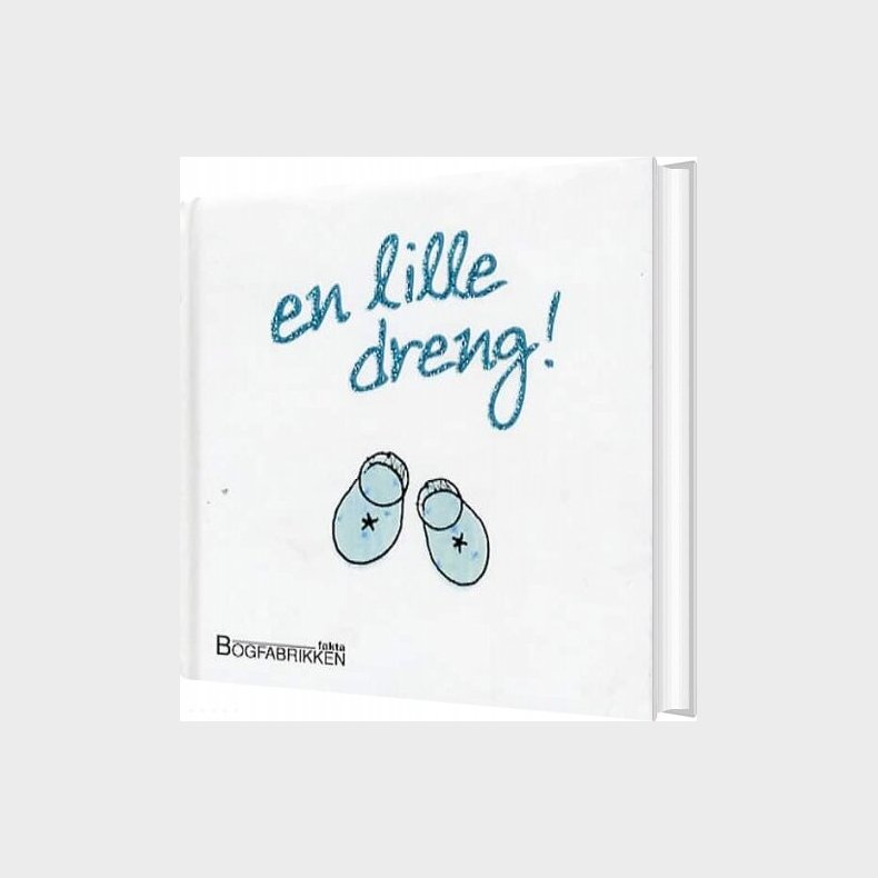 En Lille Dreng - Helen Exley - Bog