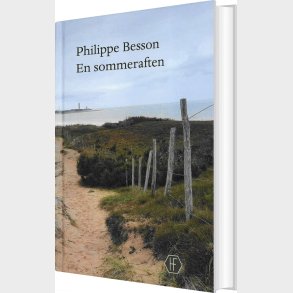 En Sommeraften - Philippe Besson - Bog