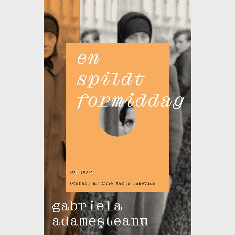 En Spildt Formiddag - Gabriela Adamesteanu - Bog