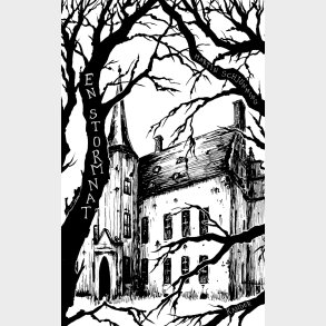 En Stormnat - Martin Schj�nning - Bog