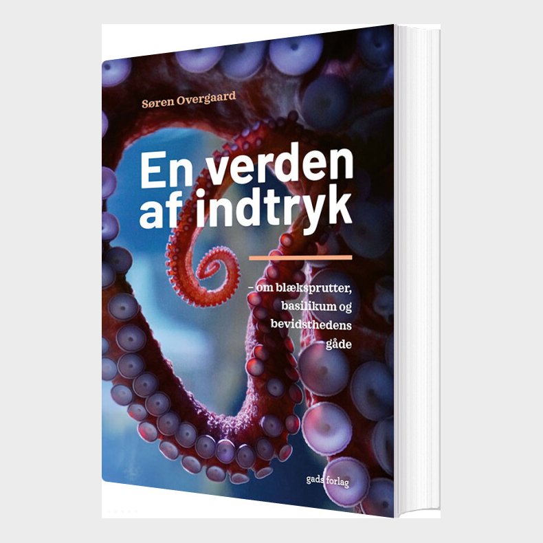 En Verden Af Indtryk - S�ren Overgaard - Bog