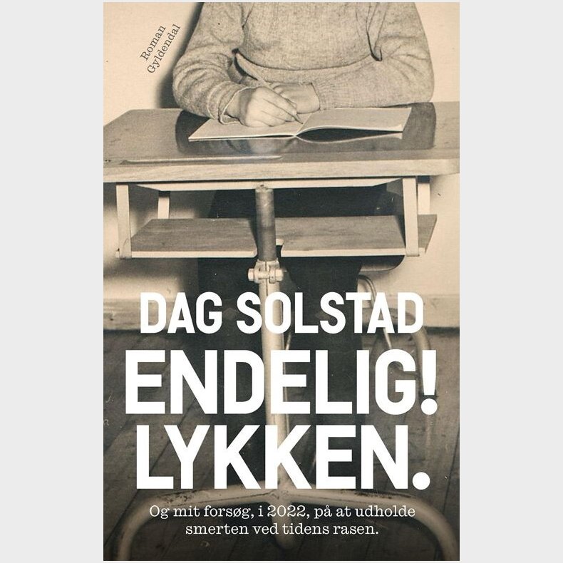 Endelig! Lykken - Dag Solstad - Bog