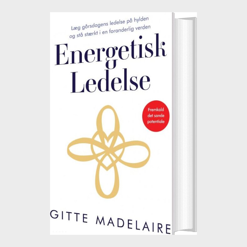Energetisk Ledelse - Gitte Madelaire - Bog