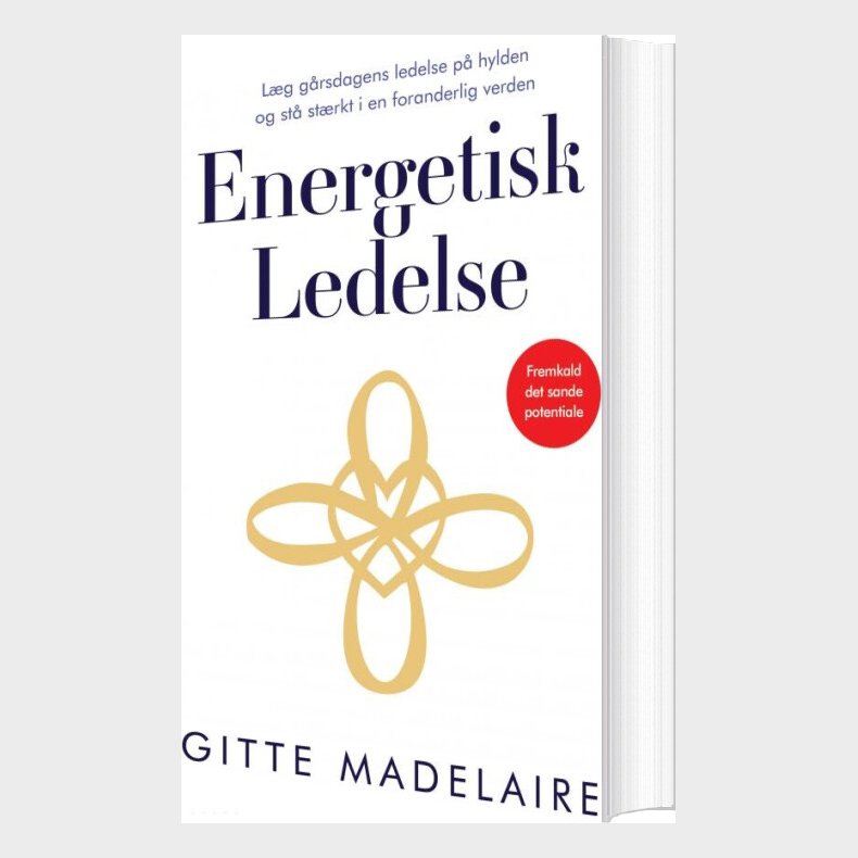 Energetisk Ledelse - Gitte Madelaire - Bog