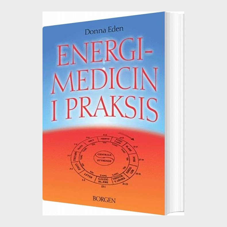 Energimedicin I Praksis - Donna Eden - Bog