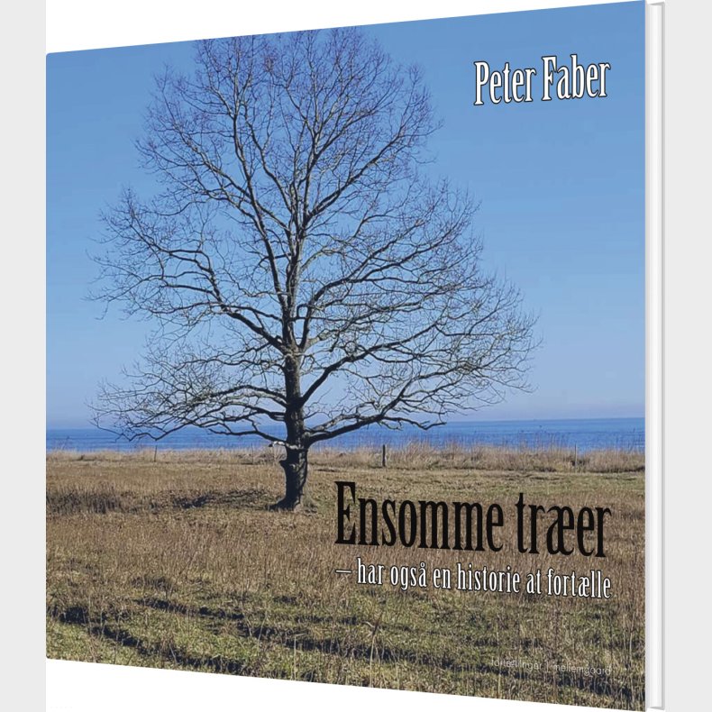 Ensomme Tr�er - Har Ogs� En Historie At Fort�lle - Peter Faber - Bog