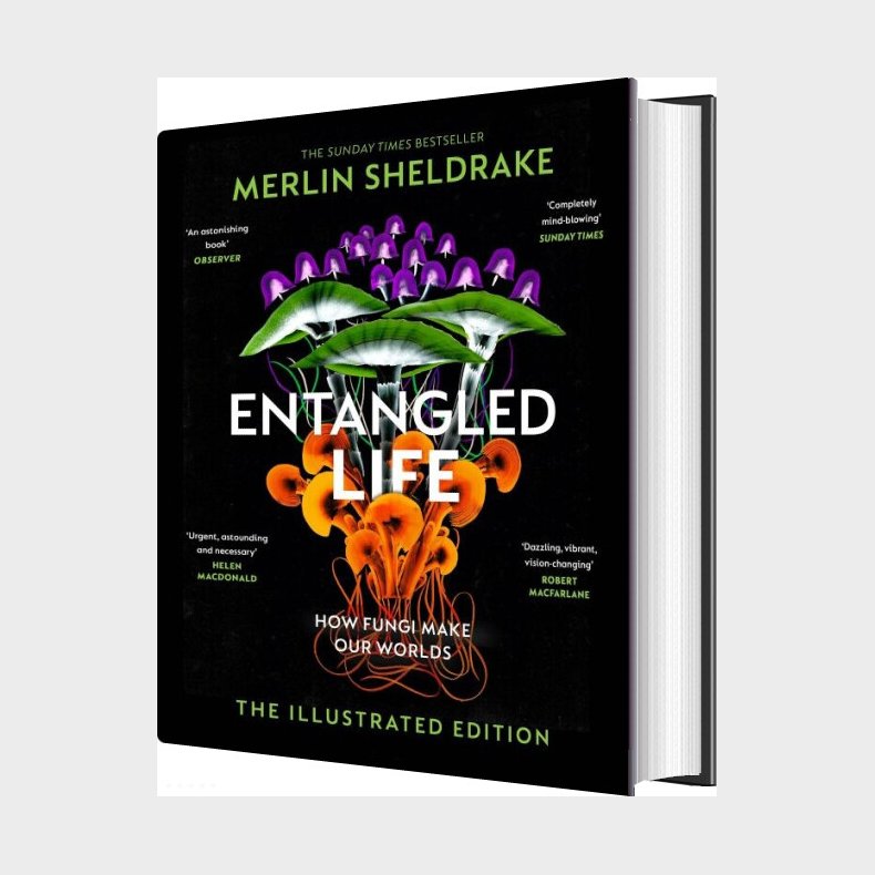 Entangled Life - The Illustrated Edition - Merlin Sheldrake - English Book