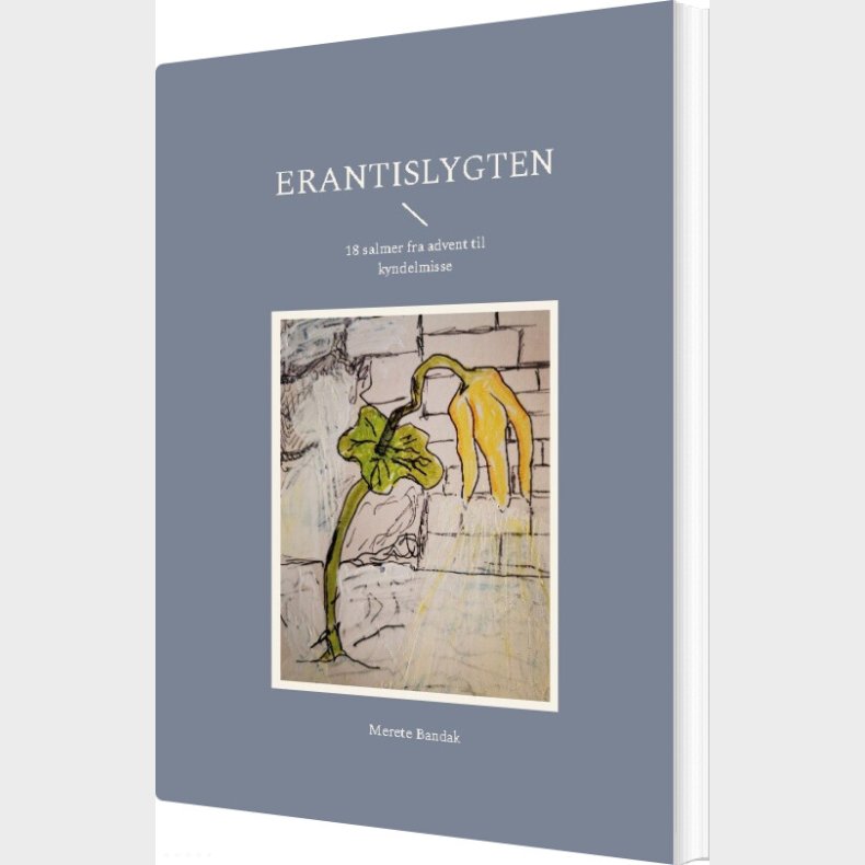 Erantislygten - Merete Bandak - Bog