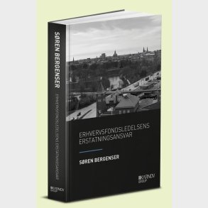Erhvervsfondsledelsens Erstatningsansvar - S�ren Bergenser - Bog