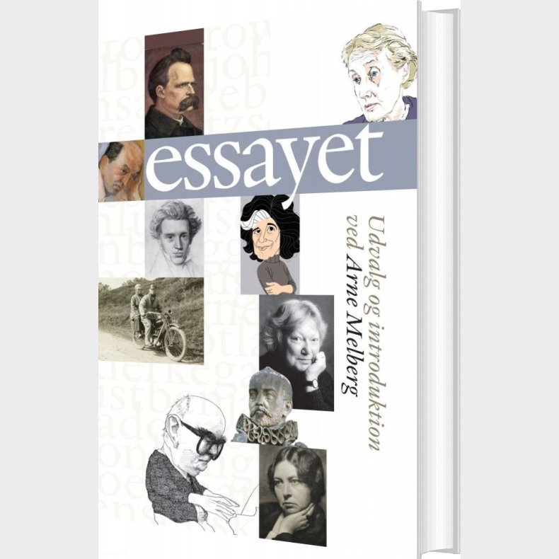 Essayet - Arne Melberg - Bog