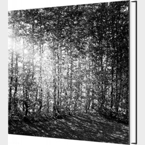 Et Foranderligt Monument - Christina Capetillo - Bog