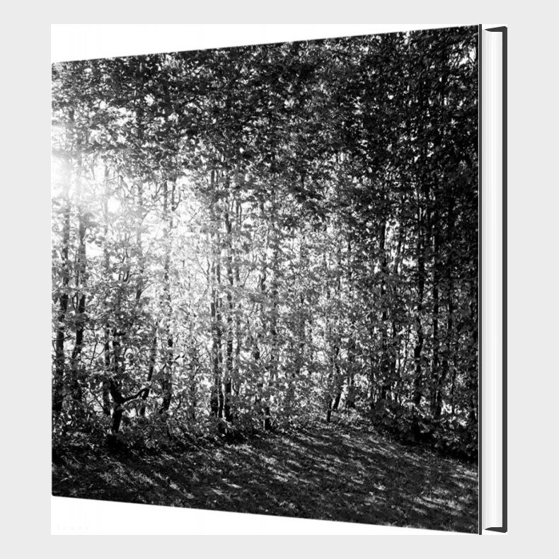 Et Foranderligt Monument - Christina Capetillo - Bog