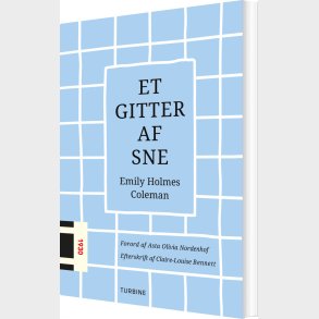 Et Gitter Af Sne - Emily Holmes Coleman - Bog