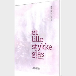 Et Lille Stykke Glas - Birgit Filskov - Bog