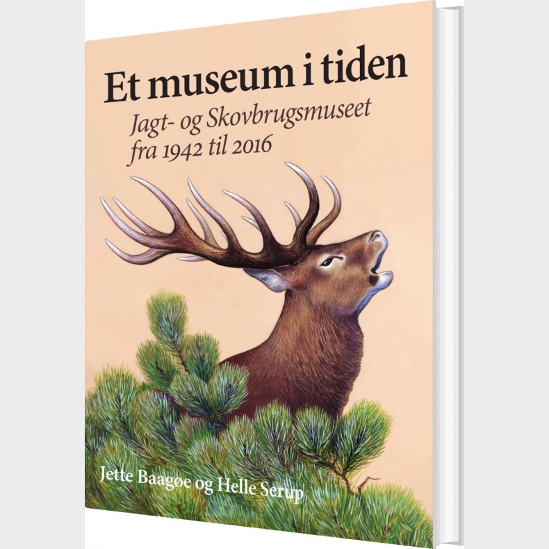 Et Museum I Tiden - Jette Baag�e And Helle Seerup - Bog