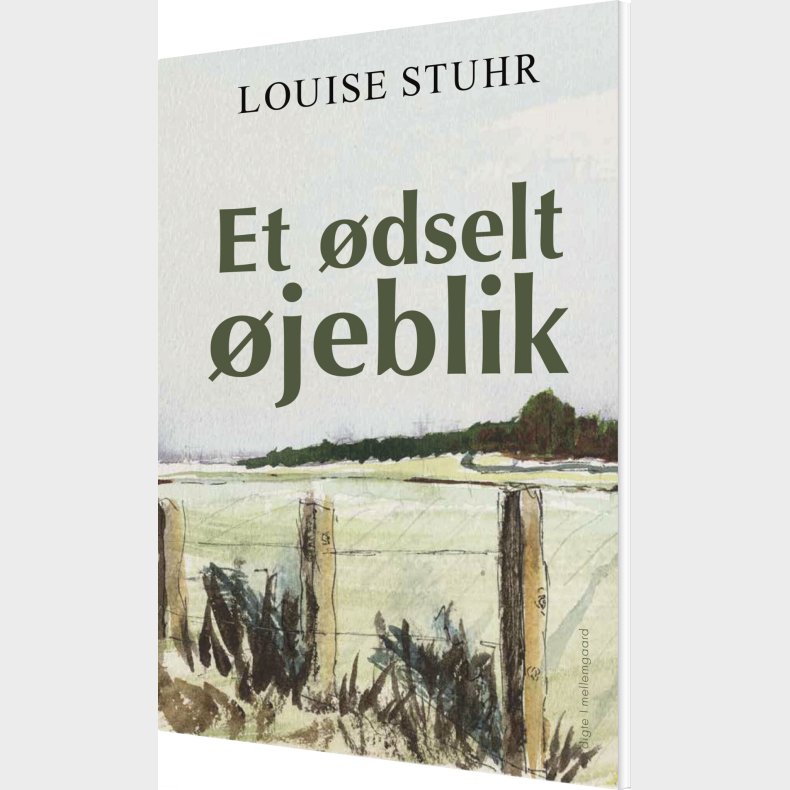 Et �dselt �jeblik - Louise Stuhr - Bog