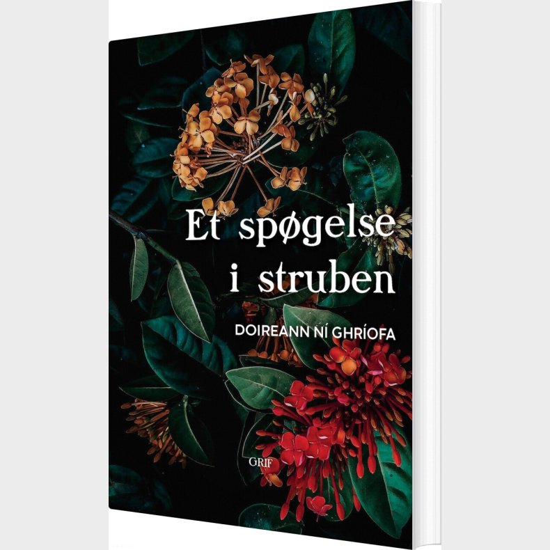Et Sp�gelse I Struben - Doireann N� Ghr�ofa - Bog