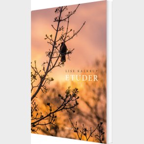 Etuder - Lise Kalkrup - Bog