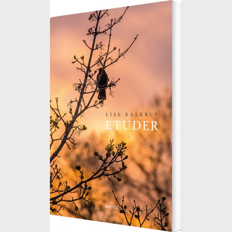 Etuder - Lise Kalkrup - Bog